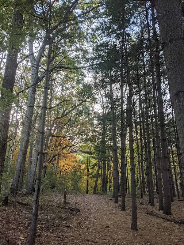 Bear Branch Nature Center - Image 2