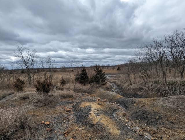 Mazonia-Braidwood State Fish and Wildlife Area - Image 1