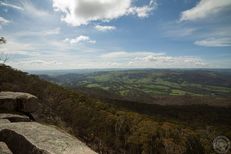 Tallarook State Forest - Image 1