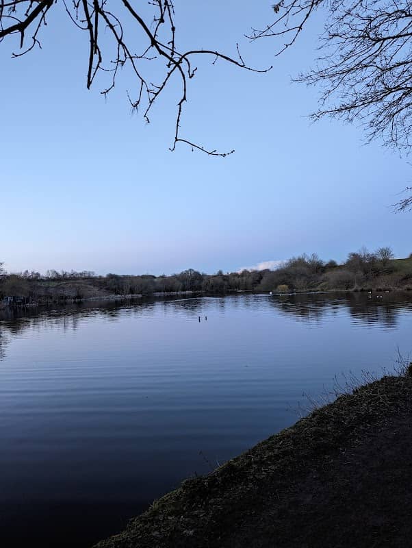 Crime Lake - Image 2