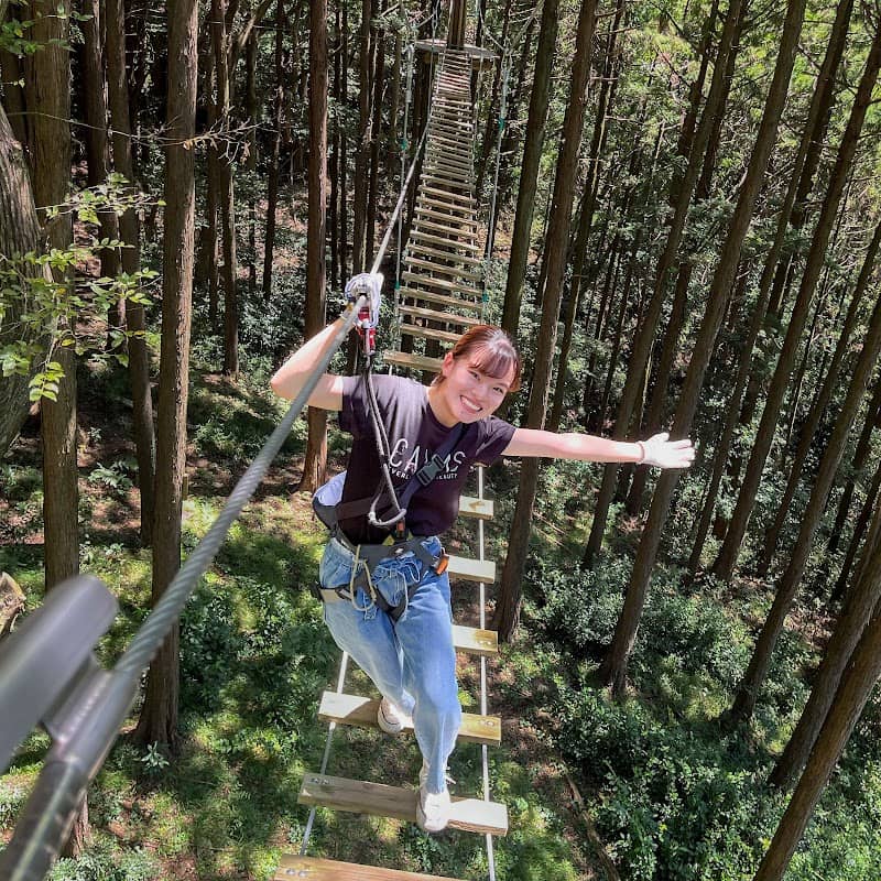 Forest Adventure Hakone - Image 1
