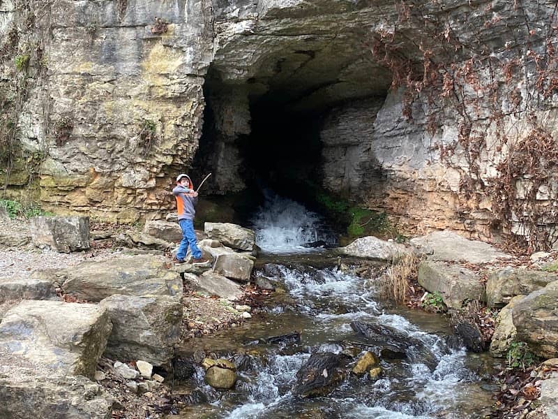 Wilson Dam Waterfall - Image 1