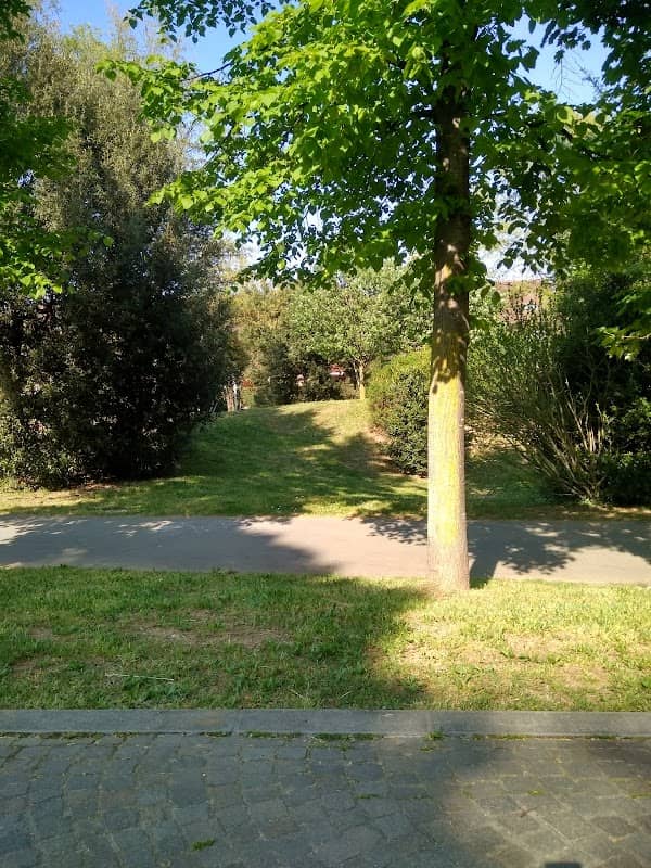 Area Verde Padri Aldo e Bramante Marchiol - Image 1