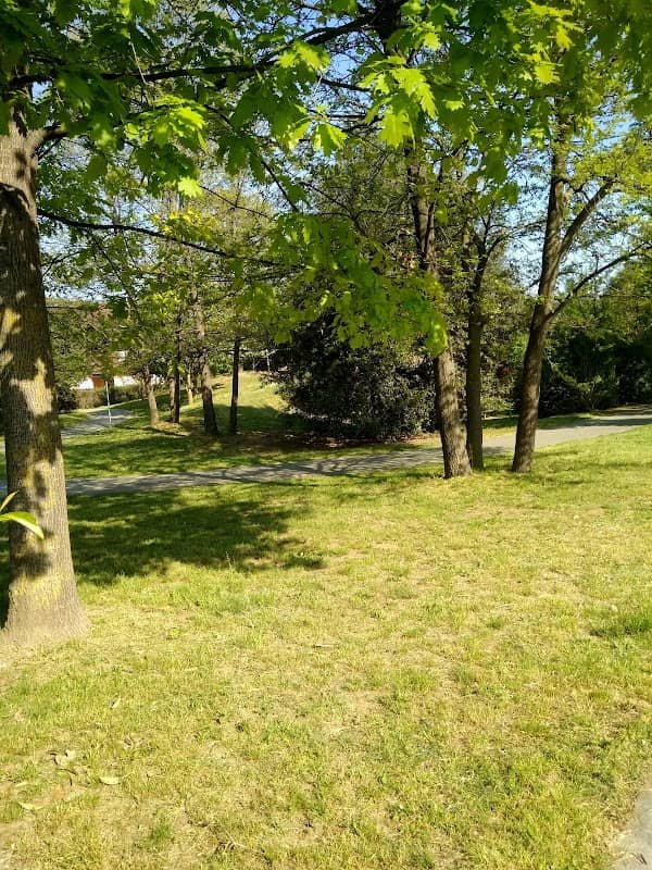 Area Verde Padri Aldo e Bramante Marchiol - Image 2