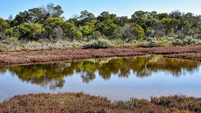 Edwards Point Wildlife Reserve - Image 1