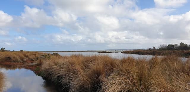 Edwards Point Wildlife Reserve - Image 4
