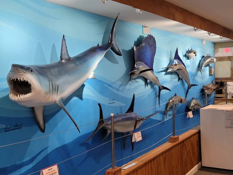Destin History & Fishing Museum - Image 2