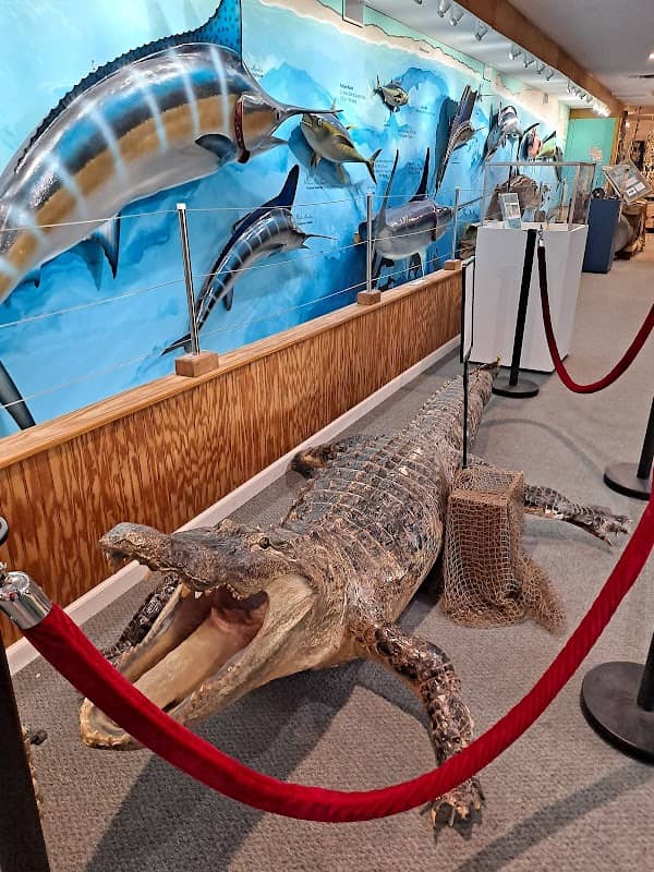 Destin History & Fishing Museum - Image 3