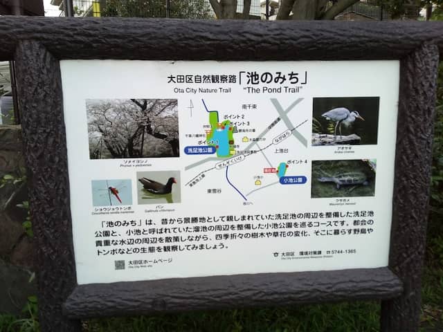 Koike Park - Image 3