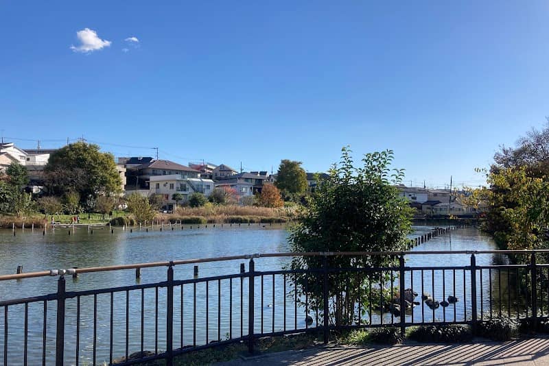 Koike Park - Image 2