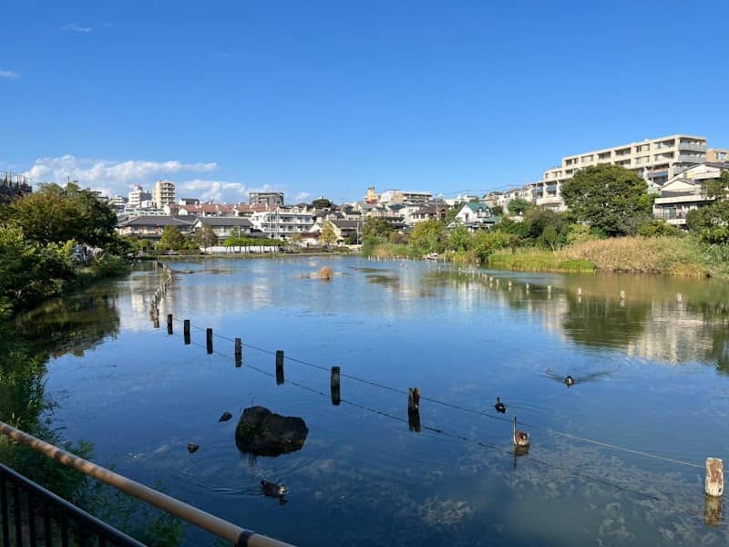 Koike Park - Image 1