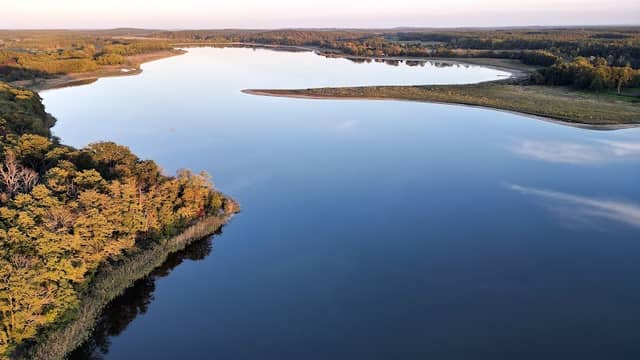 Röhrichtfelder am nördlichen Seddiner See - Image 1