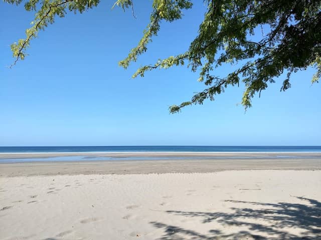 Playa Coco Condos - Image 1