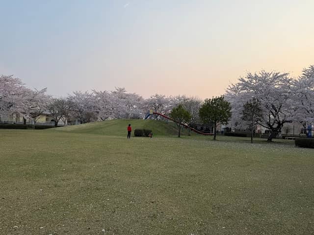 Kogane Park - Image 2