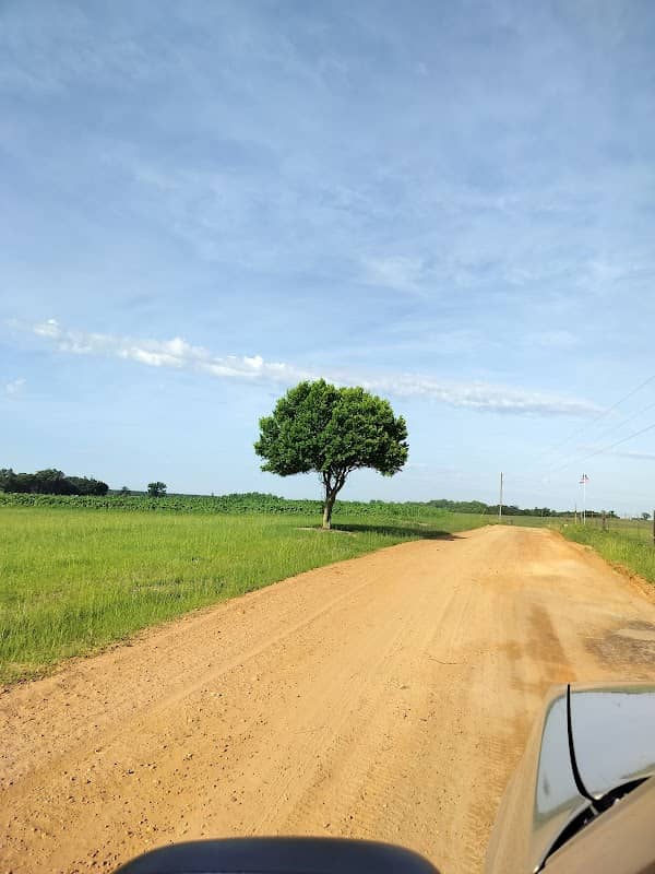 Answers to life - Image 1
