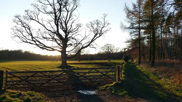 Howlands Park - Image 1