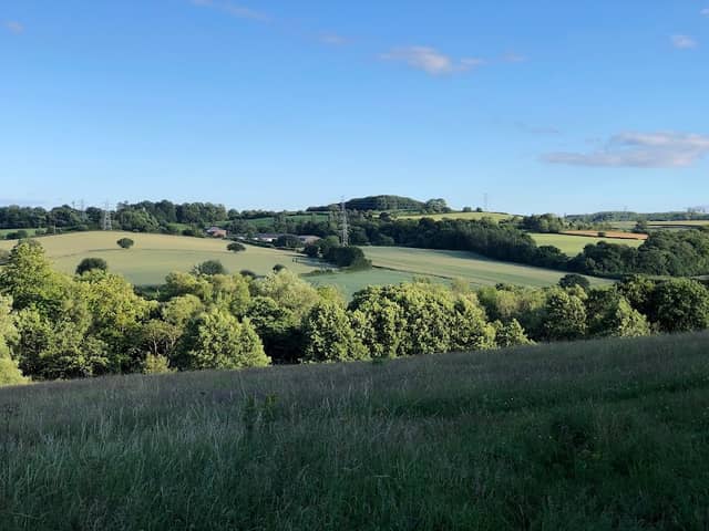 Bunny Hill - Image 2