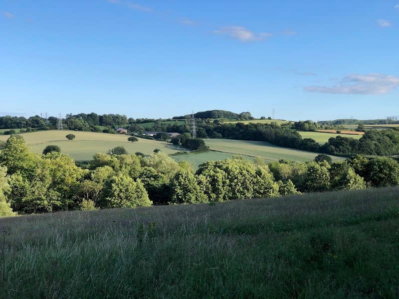 Bunny Hill - Image 2