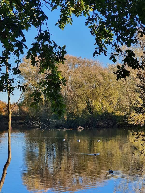 Buxford Meadow - Image 1