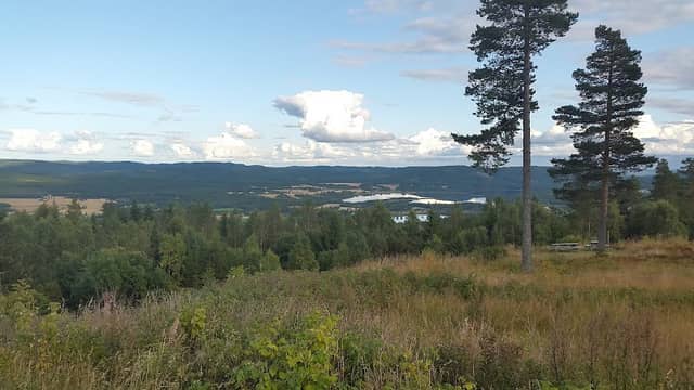 Vardåsen fort - Image 1