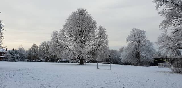 MacGregor Park - Image 1