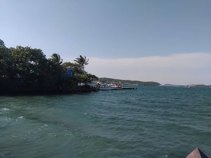New View Point - Image 1
