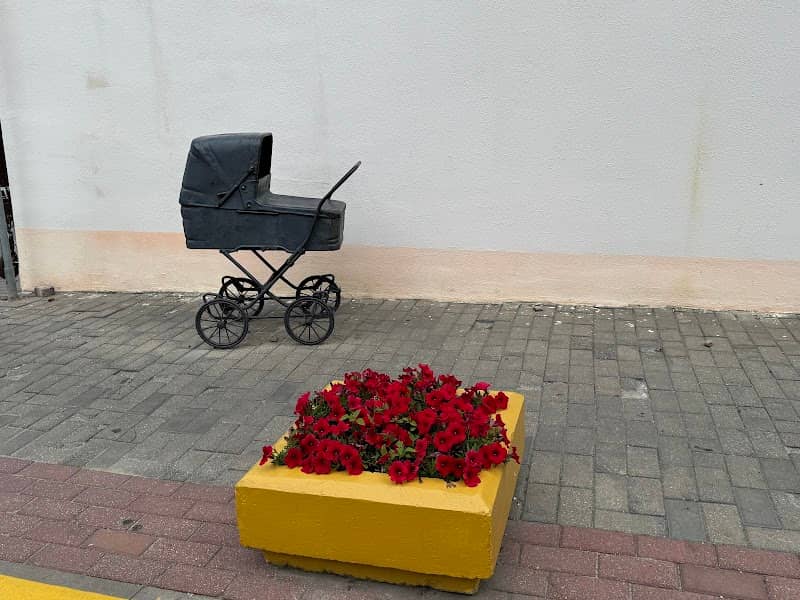 Belyye Rosy - Image 1