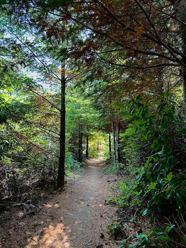 Whiskey Run Trails Lower Parking - Image 1