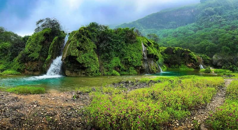 Salalah Guide Tours - Image 1