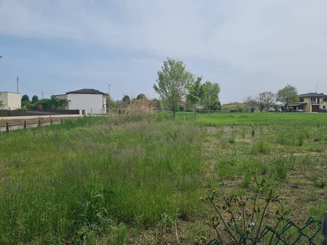 Area umida di via boschetti - Image 2