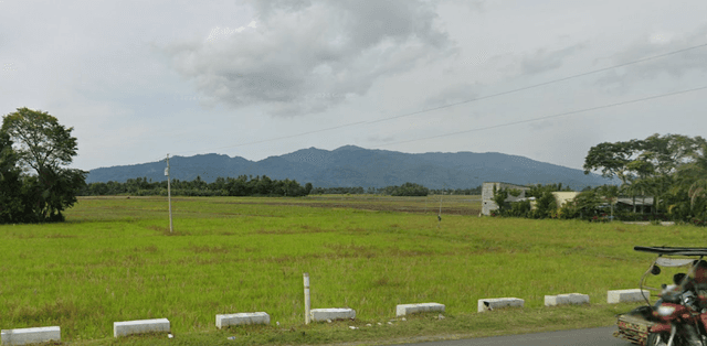 Mount Dumali - Image 2