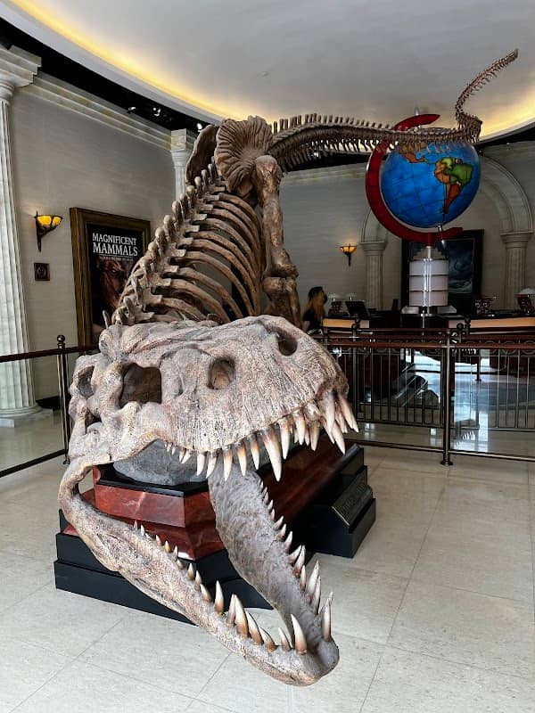 Night at the Museum: Midnight Mayhem - Image 2