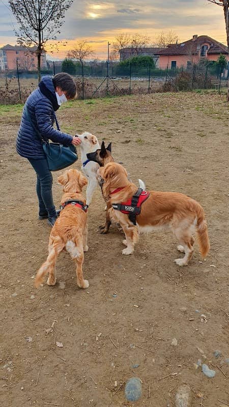 Sgambamento Cani - Image 2