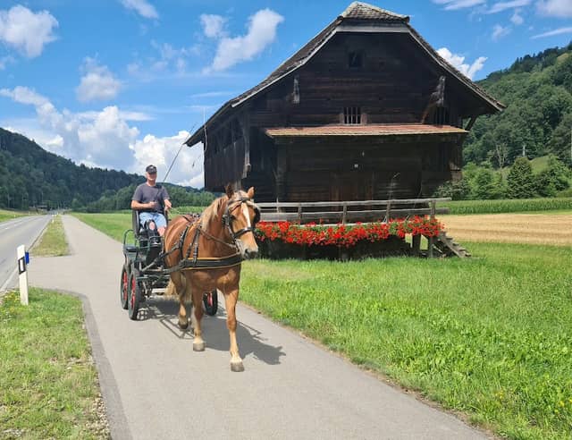 Malters Luzern - Image 2