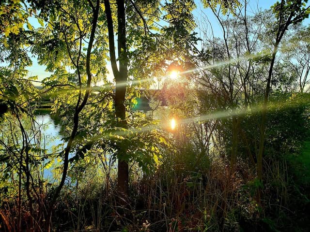 Gilberts Memorial Park - Image 2