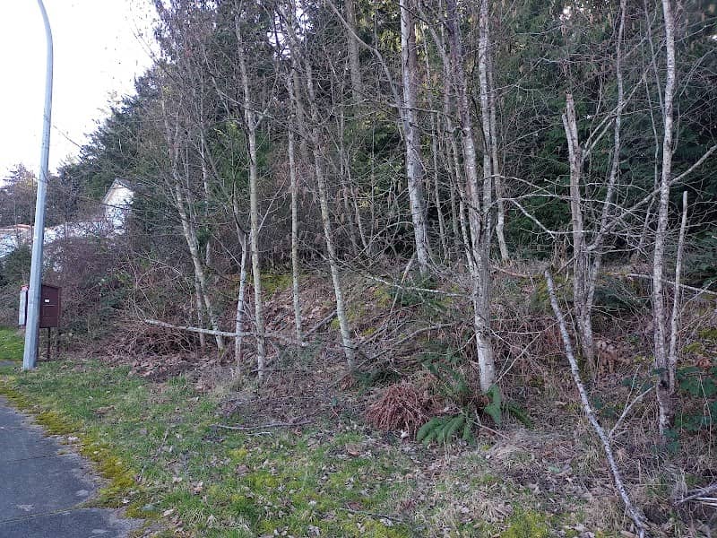 Turner/Carlton Park - Image 3