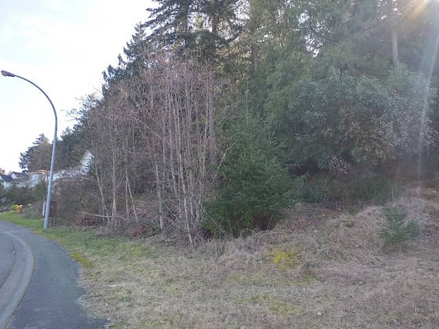 Turner/Carlton Park - Image 2