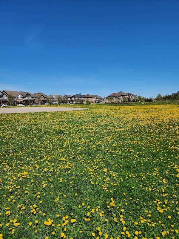 Bonnie Glen Farm Park - Image 2