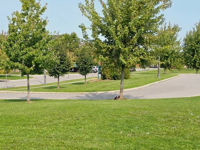 Bonnie Glen Farm Park - Image 3