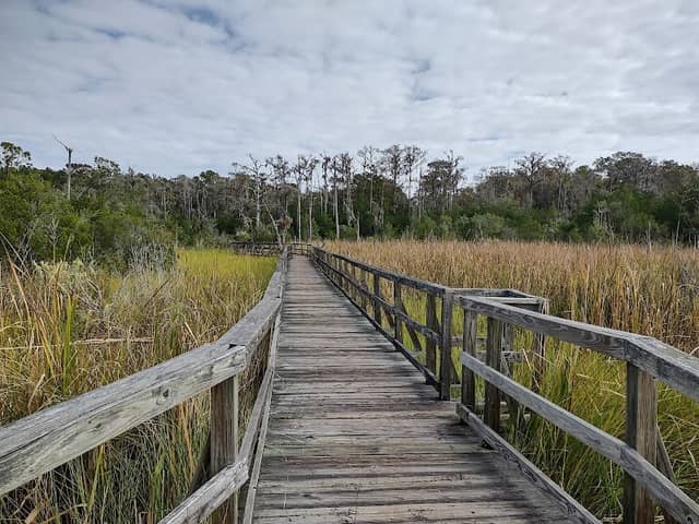 Cay Creek Wetlands Interpretive Center - Image 1