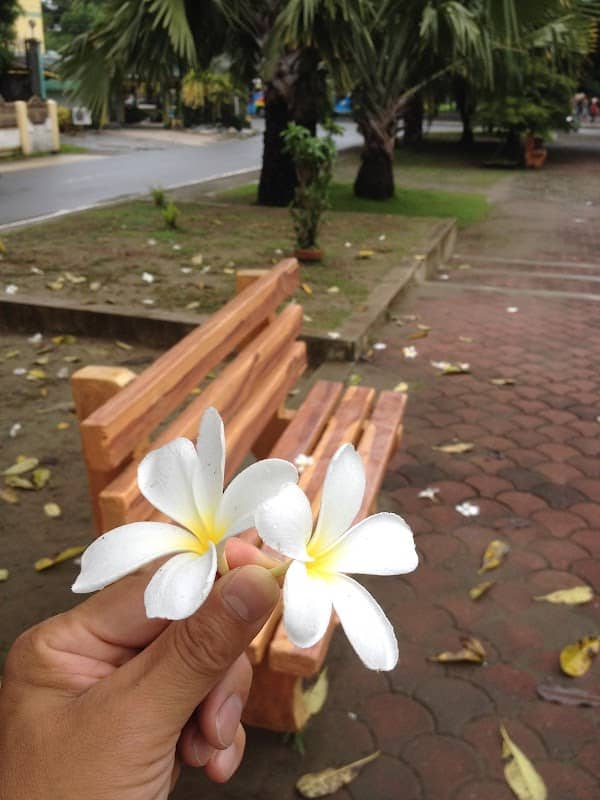 Lingayen Park - Image 1