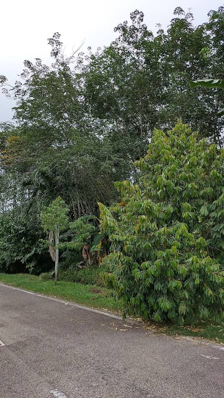 Taman Permainan Taman Kiara 1 - Image 1