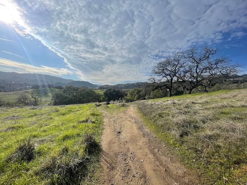 Mount Burdell Preserve - Image 2