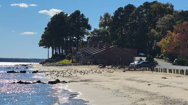 Seahorse Beach (CRE Residents Only) - Image 1