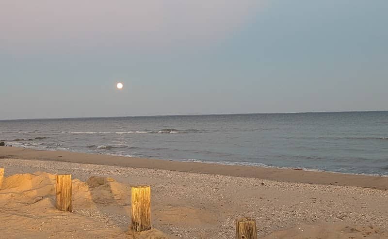 Seahorse Beach (CRE Residents Only) - Image 2
