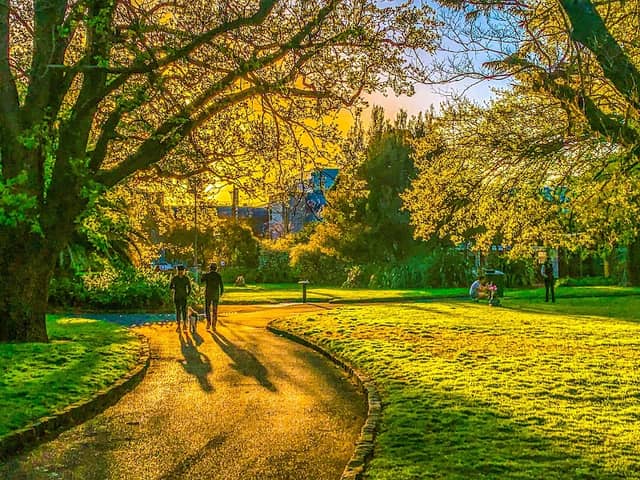 Central Gardens - Image 2