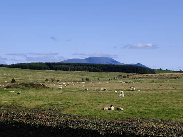 Threapland Park - Image 2