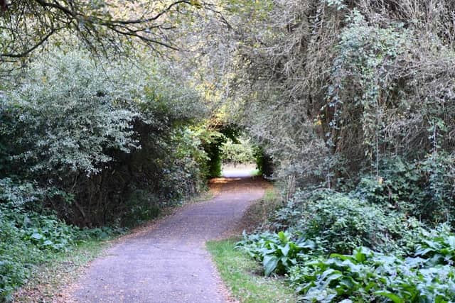 Gunpowder Park & Sewardstone Marsh - Image 2