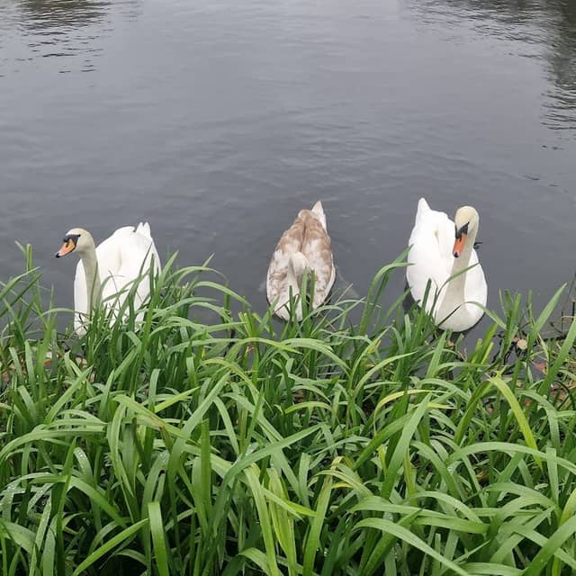 Mansfield & Ashfield Wildlife Watch Group / Kids Nature Activities - Image 2