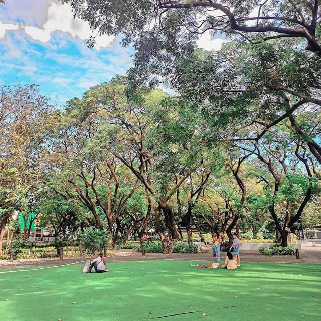 Bulacan Capitol View Mini Forest - Image 1